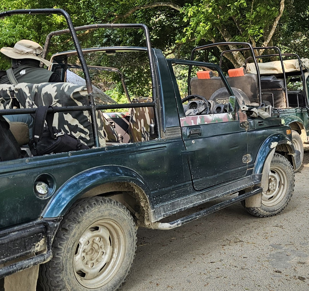 Sariska Gypsy Safari